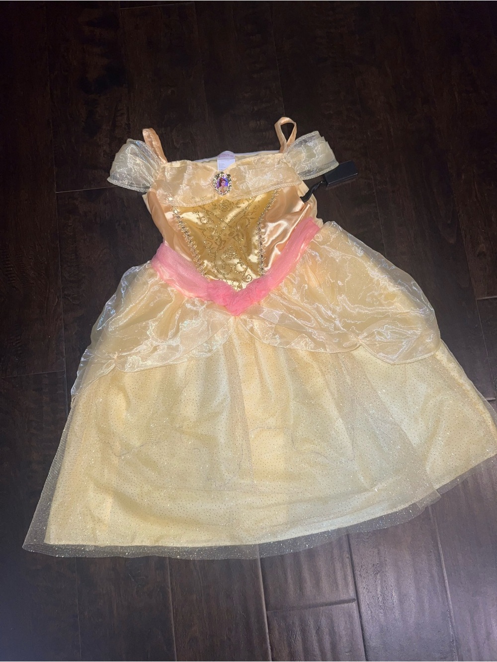 Disney Belle costume